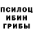 Галлюциногенные грибы Psilocybine cubensis tarlybishopFIVEM