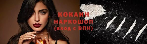 молекула духа Няндома