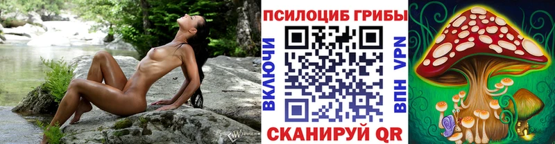 Галлюциногенные грибы мицелий  Кимры 