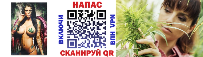 Каннабис AK-47  как найти   Кимры 